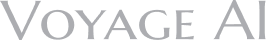 Voyage AI